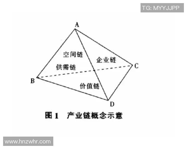 北京排球队阵地战分析：优缺点与未来发展方向探讨